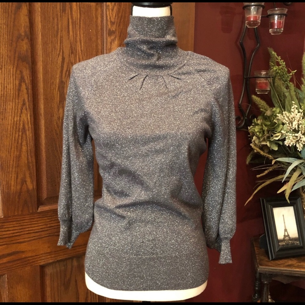Express Sparkle Turtleneck